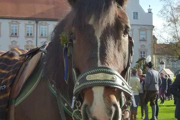 Pferd bei der Leonhardifahrt im Innenhof des Klosters