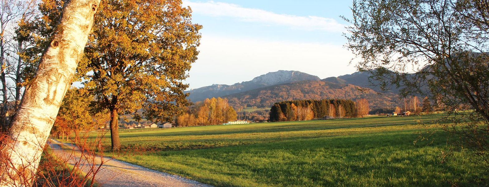 Herbststimmung im Moos