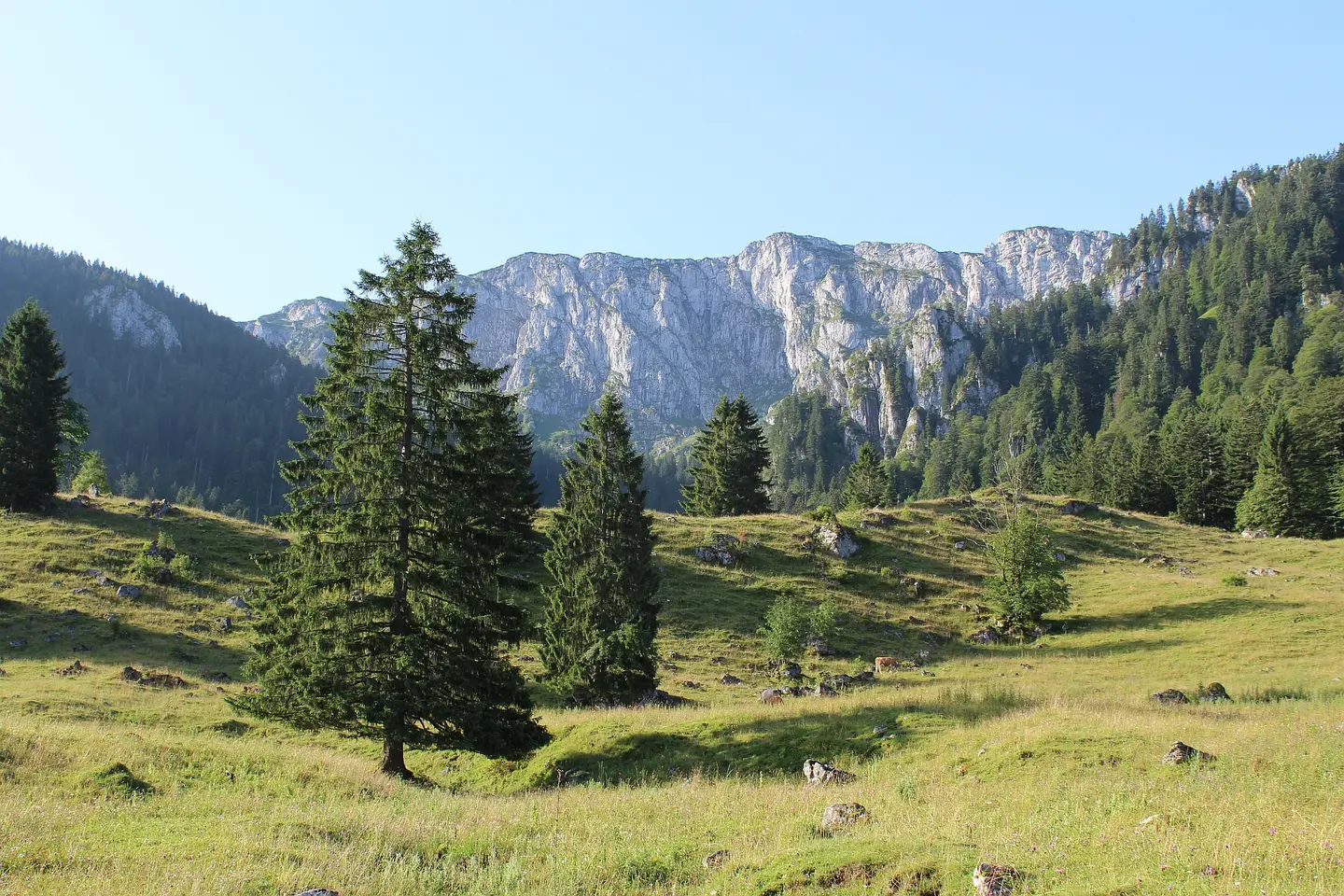 hiking to Mt. Benediktenwand