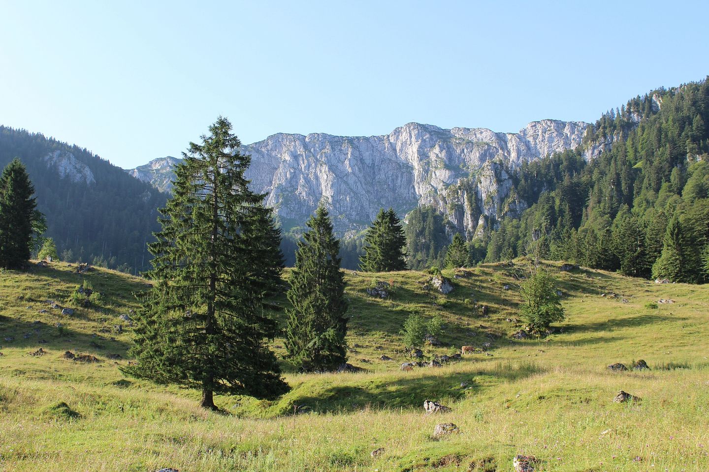 Eibelsfleck mit Benediktenwand la montana Benediktenwand