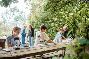 kleine Naturforscher betrachten Wassertiere mit dem Mikroskop