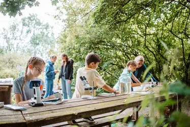 kleine Naturforscher betrachten Wassertiere mit dem Mikroskop