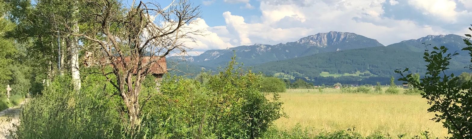 Panorama Loisach-Kochelsee-Moor