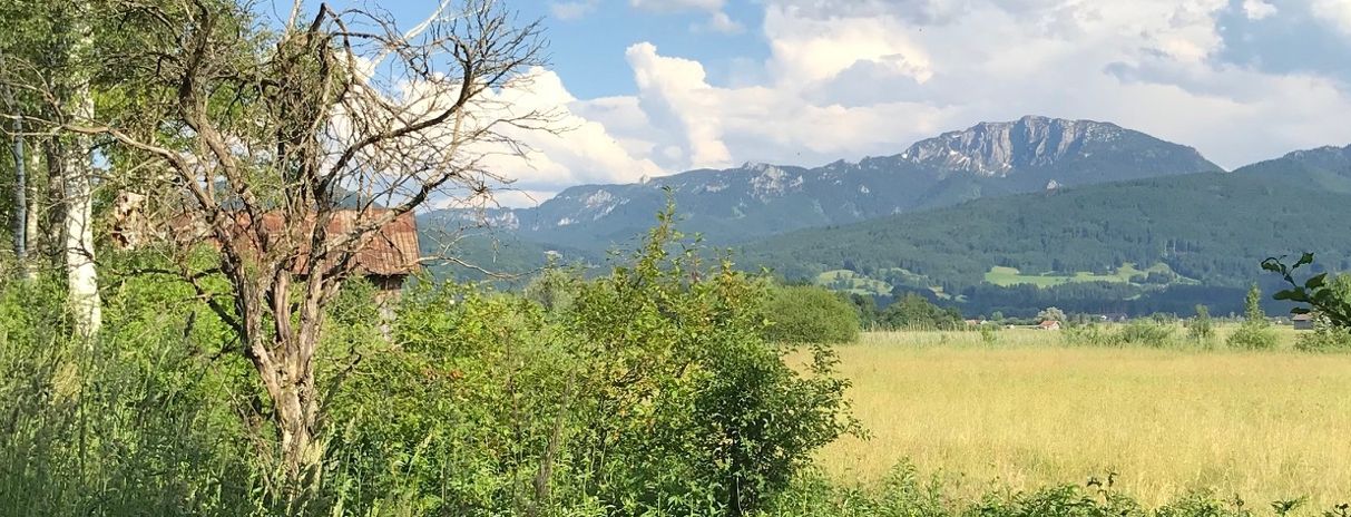 Panorama Loisach-Kochelsee-Moor