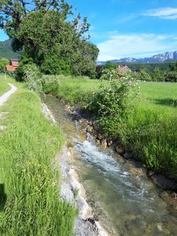 Wanderweg entlang des Mühlbachs