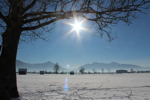 verschneite Moorwiese bei Sonnenschein