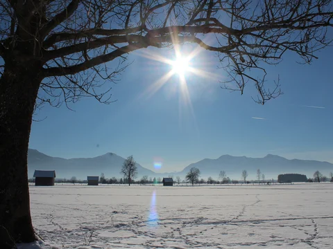 verschneite Moorwiese bei Sonnenschein