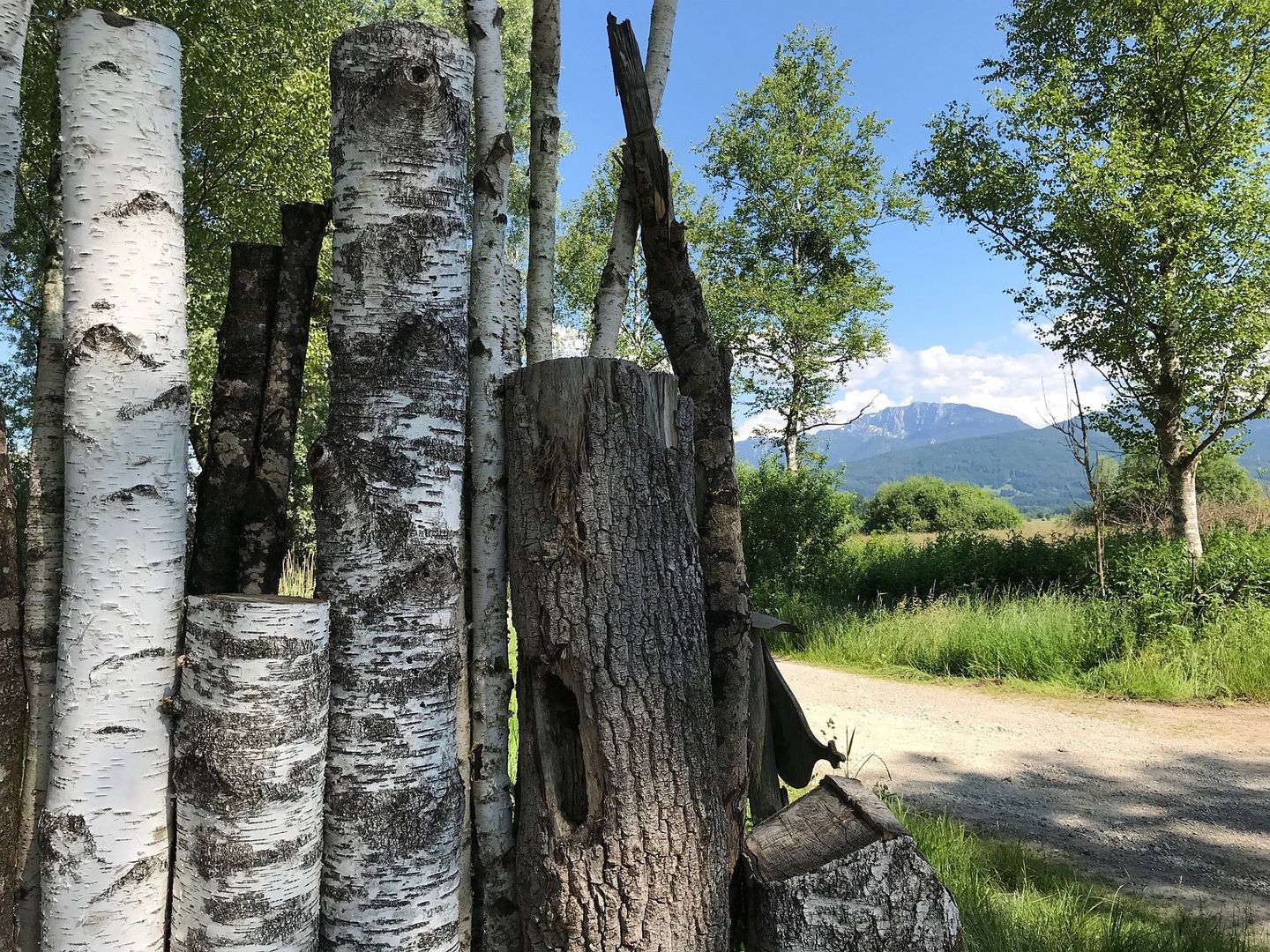 caminata en el pantano