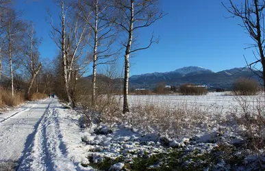 winterlicher Wanderweg im Moos