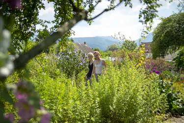 Frauen betrachten Kräuter im Meditationsgarten