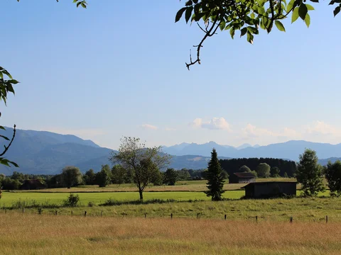 Moos bei Benediktbeuern