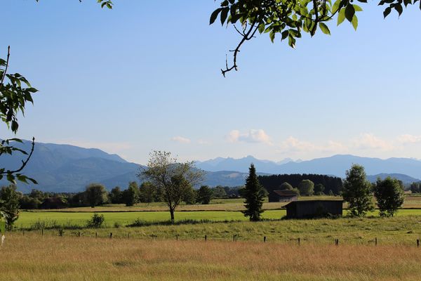 Loisach-Kochelsee-Moor Moos bei Benediktbeuern
