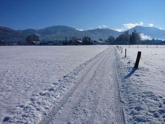 Blick auf Benediktenwand im Winter