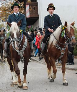 Reiter an Leonhardi