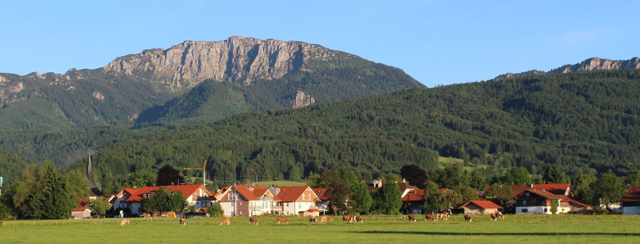 Blick auf Benediktenwand vom Wiesenweg