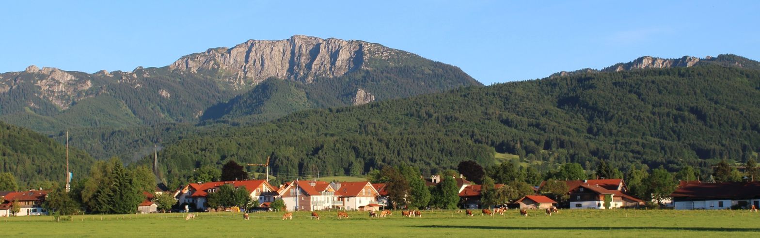 Blick auf Benediktenwand vom Wiesenweg