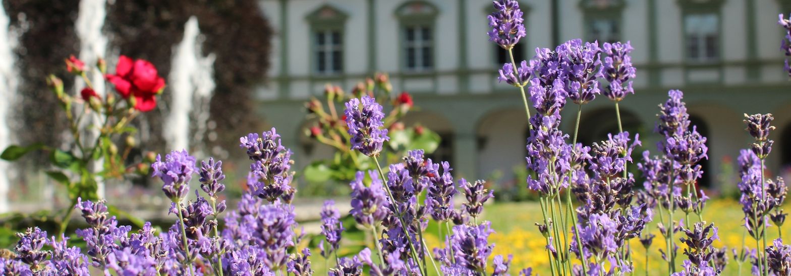 Klosterinnenhof mit Springbrunnen