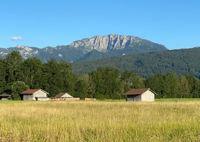 Blick vom Moos auf Benediktenwand